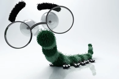 Fun In Desktop Backgrounds Wallpapers