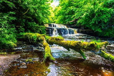 Rivers: River Cool Forest Nature Fun Desktop Background Images For ...