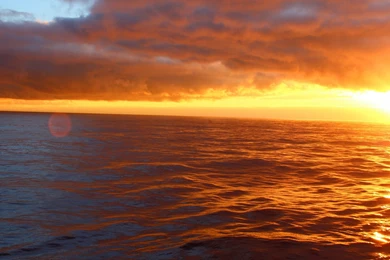 Free Ocean Sunset Wallpapers