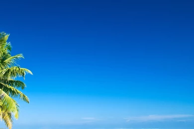 Tropical Ocean Wallpapers Backdrop Tropical Ocean Wallpapers ...