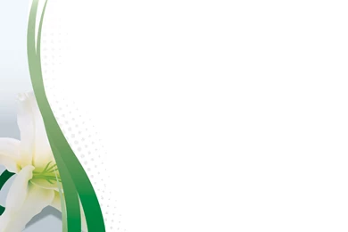 Lily Flower Powerpoint Templates   Flowers, Green, Yellow   Free ...