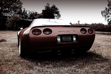 2011 Wittera Chevrolet Corvette C5 Wide Body   Brown Rear Angle ...