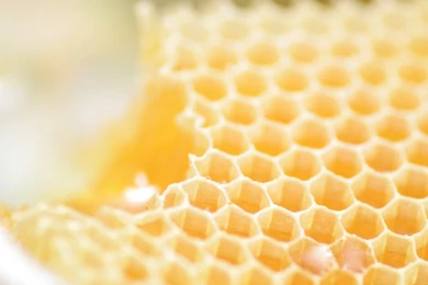 Beehive By DanzE26 On DeviantArt