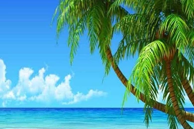 Beach Live Wallpapers Android Apps On Google Play