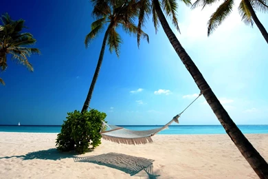 Don't Let Market Changes Ruin Your Holiday Plans