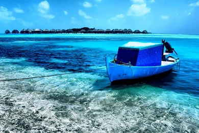 The Maldives, The Perfect Holiday Destination