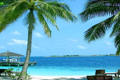 Beach Live Wallpapers Android Apps On Google Play