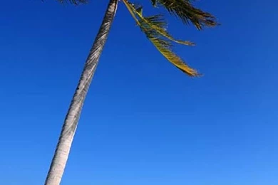 Beach Live Wallpapers   Android Apps On Google Play