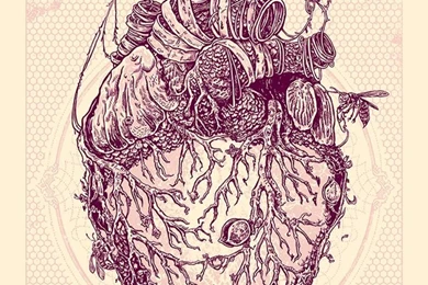 Symbiosis" Print By Angry Blue iPhone Wallpapers Background.