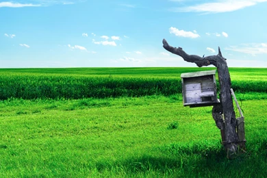 Wonderworld >> HD Wallpaper, Get It Now!