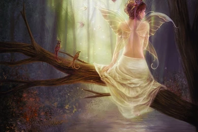 354 Fairy HD Wallpapers