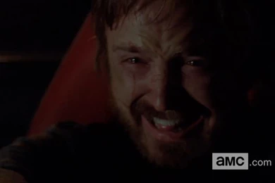Breaking Bad Season 5 Episode 16 (Series Finale)   A For Anything ...