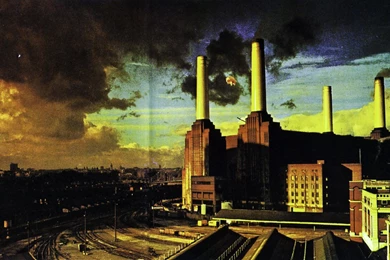 Best Pink Floyd Albums, Wish You Were Here, Animals And The Wall