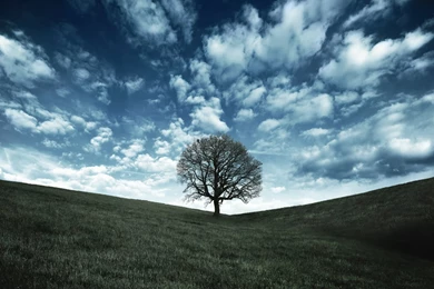 Samsung Phone Wallpapers 47355 HD Wallpapers