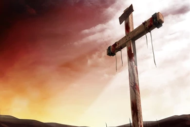 Homily September 14, 2014 Exaltation Of The Holy Cross