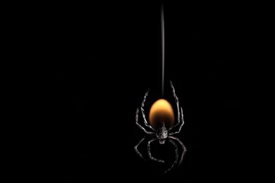 Galaxy S4 Wallpapers HD Beautiful, Stunning Wallpapers