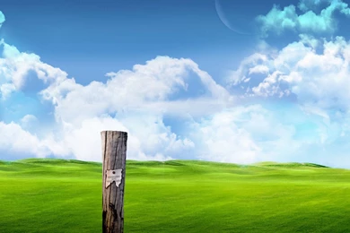 Field HD Wallpapers ~ Toptenpack.com