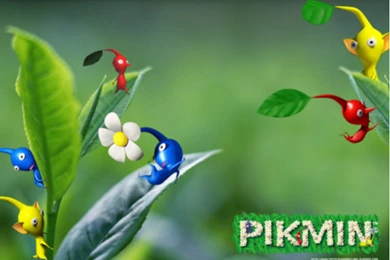 Image Pikmin leaf wallpaper.jpg Pikmin Wikia