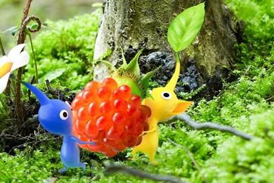 Pikmin New Amazing Wallpapers (High Resolution)   All HD Wallpapers