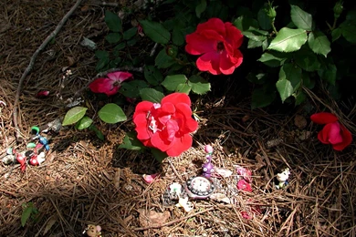 Pikmin Computer Wallpapers, Desktop Backgrounds