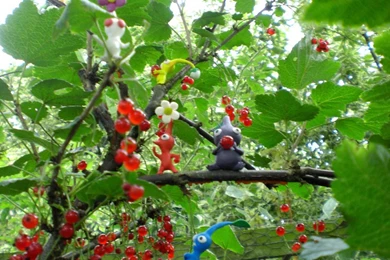 Pikmin   Berry Feast By ClayPita On DeviantArt