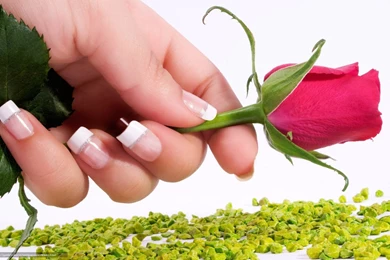 379490_cvetok_roza_rozovyj_cvet_ruka_nogti_francuzskij_ma_1680x1050_www.Gde Fon.com.jpg