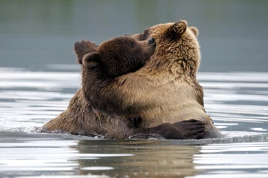 Hug Wallpapers For Widescreen Desktop PC 1920x1080 Full HD