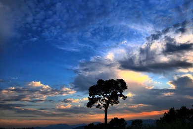 200+ Best Apple iPad HD Wallpapers