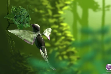 Full Hd Wallpapers 1080p 27 1920x1080