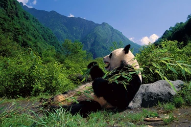 China Scenery Wallpapers Hd Also Next China Scenery Wallpapers Hd 9 ...