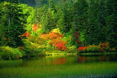Cool Nature Wallpapers Cool Wallpapers HD For Desktop ...