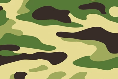 Samsung Galaxy S III, S3 Decal Skin   Green Camouflage