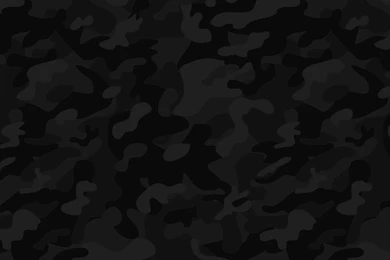 Keyword: Camo   Wonderful HD Wallpapers   WallpaperLayer.com