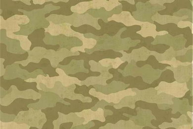 Bz9415 Real Tree Camouflage Wallpapers By York