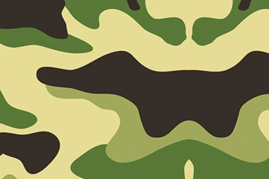 Apple iPad Mini Decal Skin   Green Camouflage