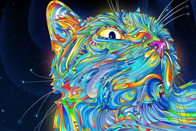 Amazing Graffiti Cat Wallpapers,Graffiti Wallpapers & Pictures ...