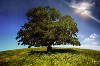 3D Landscape: A Dreamy World, Picture Nr. 60682