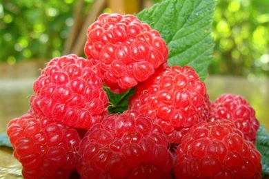 HD Strawberries Desktop Wallpapers Image 1280x720 Widescreen Hd ...