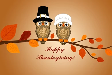 Happy Thanksgiving Wishes   Free Large Images