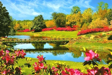 Natural Wallpapers 15   Best Wallpapers Collection