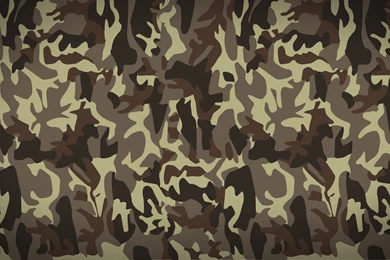 Khaki Textures Green Military Color Army Color The Army Camouflage ...
