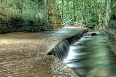 Wallpapers Serene Pictures Bridge Forest Green Nature Rivers Free ...