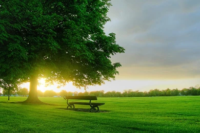 Beautiful Spring Wallpapers 08, HD Wallpapers Downloads