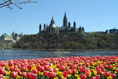 Beautiful Spring Wallpapers 2   Crazy Frankenstein