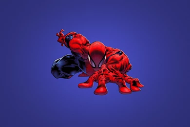 Wallpapers Cool Spiderman   HD Wallpapers Expert