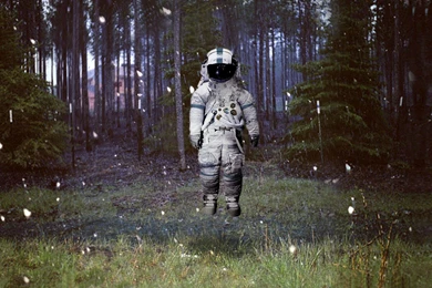 Brand New Wallpapers Wallpapers Zone