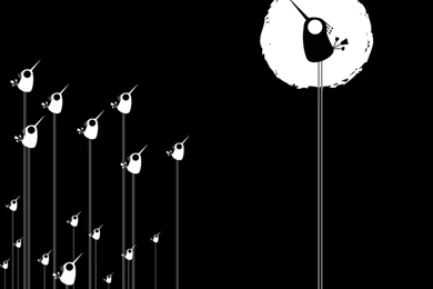 Black Birds Wallpapers Black HD Wallpapers