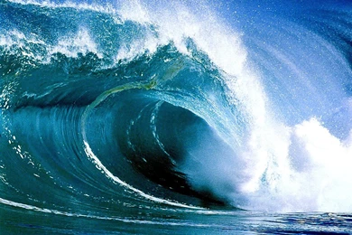 What Kind Of Wave Are You?