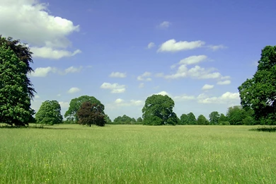 Beautiful Landscape Landscapes Pictures Homedes.Online