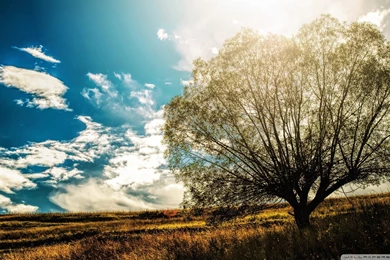 Hubble Wallpapers Widescreen 1920 X 1080 (page 2)   Pics About Space